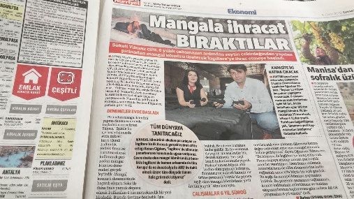 Yerli basında mangal kömürü ihracatı haberi